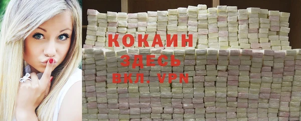 дживик Алзамай