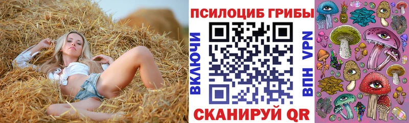 Псилоцибиновые грибы Cubensis  что такое наркотик  мега онион  Ярославль 